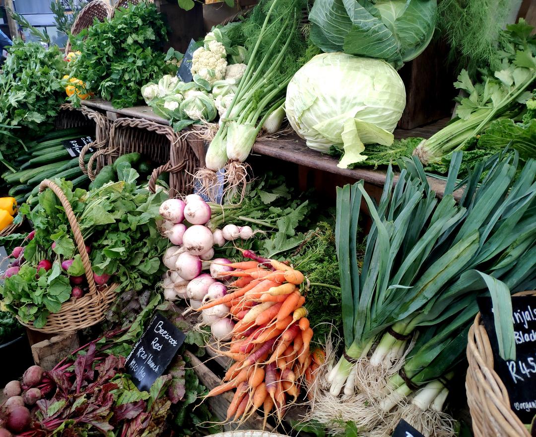 Fazenda vertical inicia comercialização de verduras para supermercados de SP