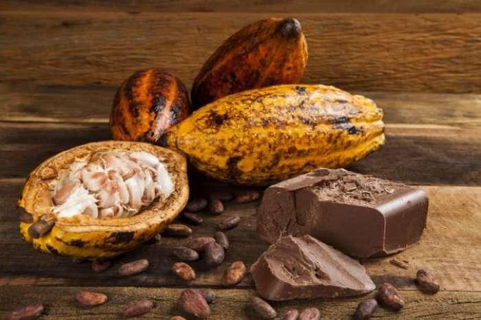 Dengo lança dois produtos com cacau amazônico: chocolate com pimenta e jaca